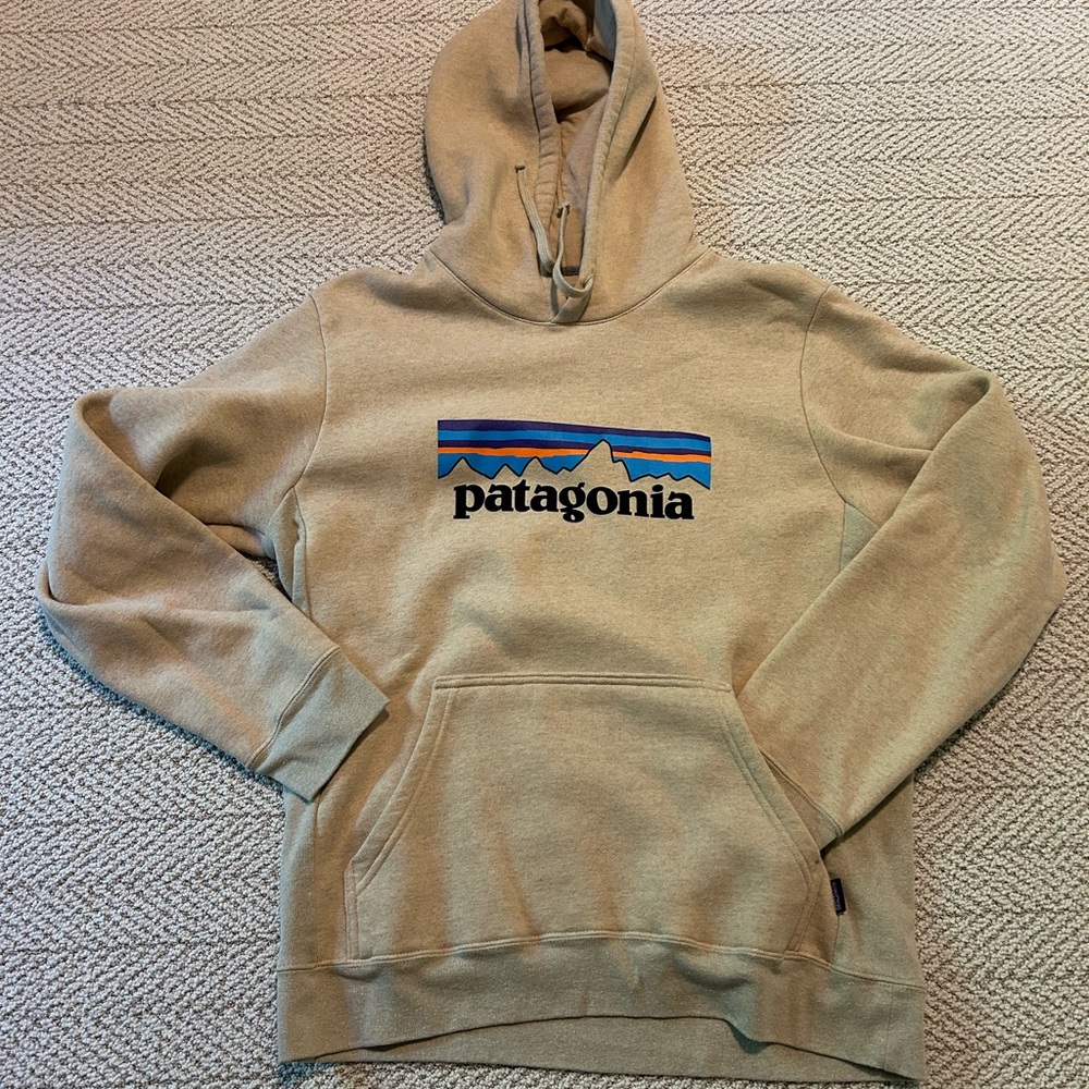 Patagonia Tan Hoodie